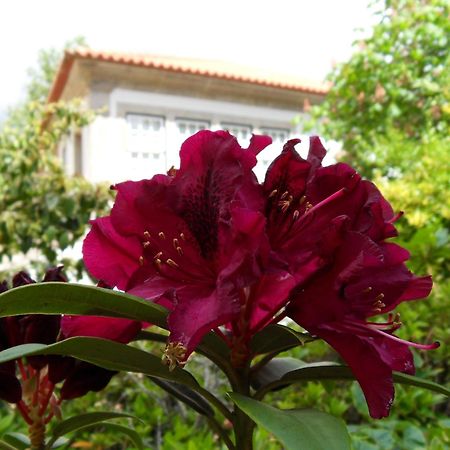 Quinta Do Bento Novo - Casa De Campo - Turismo Rural Viana do Castelo Ngoại thất bức ảnh