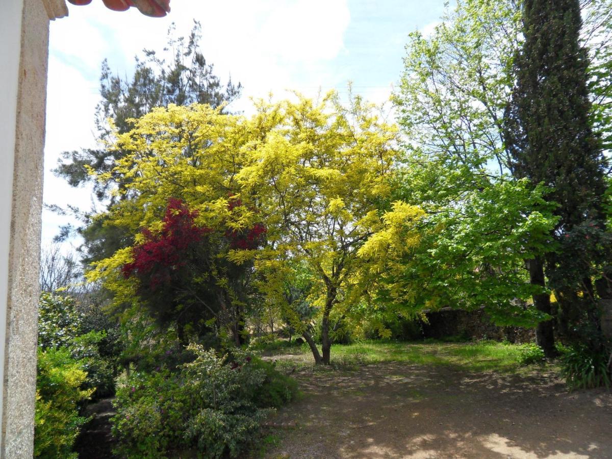 Quinta Do Bento Novo - Casa De Campo - Turismo Rural Viana do Castelo Ngoại thất bức ảnh