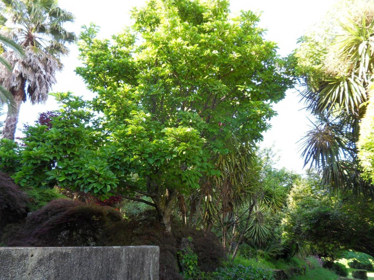 Quinta Do Bento Novo - Casa De Campo - Turismo Rural Viana do Castelo Ngoại thất bức ảnh