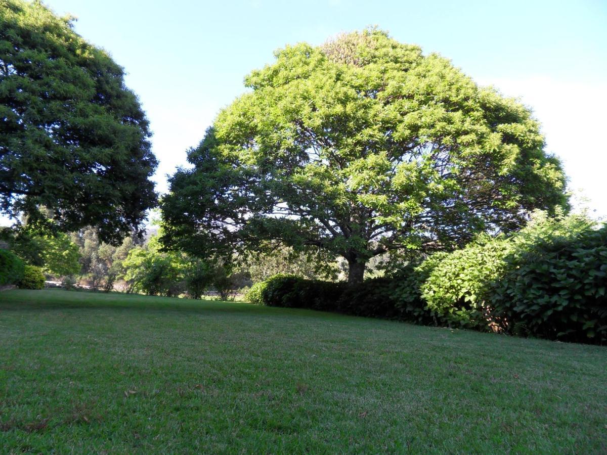 Quinta Do Bento Novo - Casa De Campo - Turismo Rural Viana do Castelo Ngoại thất bức ảnh