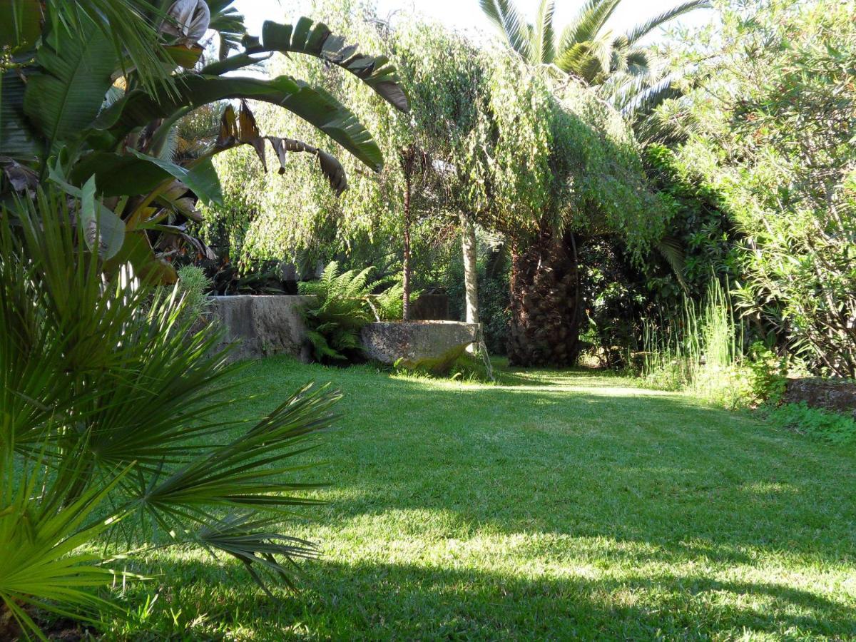 Quinta Do Bento Novo - Casa De Campo - Turismo Rural Viana do Castelo Ngoại thất bức ảnh