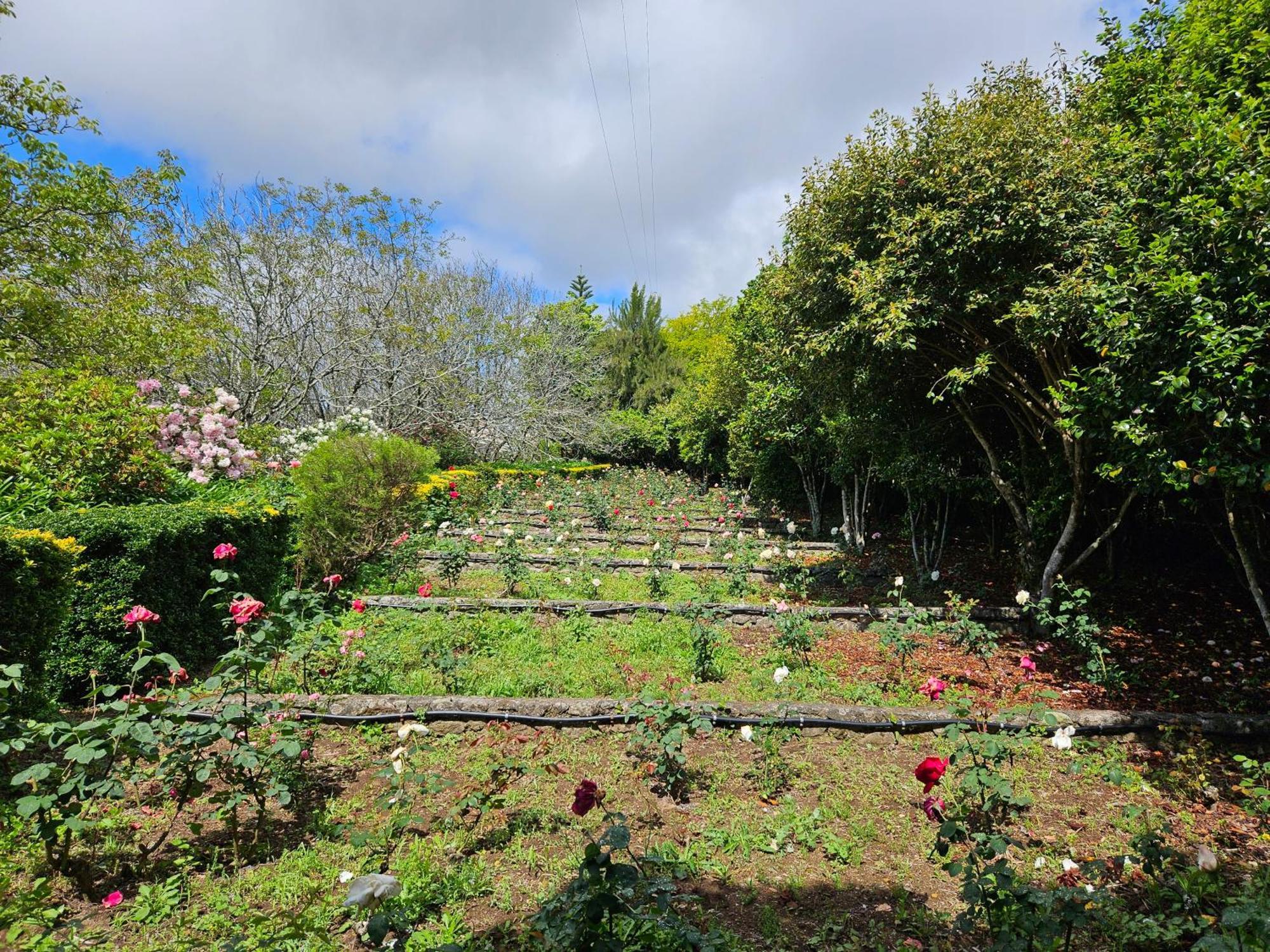 Quinta Do Bento Novo - Casa De Campo - Turismo Rural Viana do Castelo Ngoại thất bức ảnh